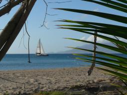 Leeward Island Charters