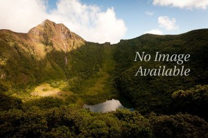 Rawlins Plantation Inn Restaurant