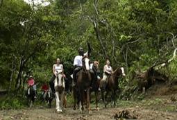 Trinity Inn Stables (Horseback Riding)