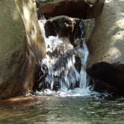Wingfield River and Water Works